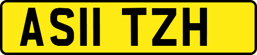AS11TZH