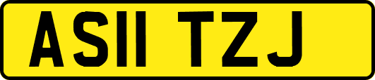 AS11TZJ