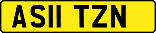AS11TZN