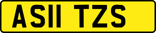 AS11TZS