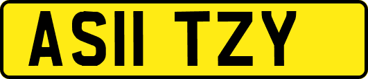AS11TZY