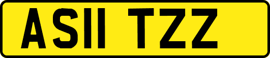AS11TZZ