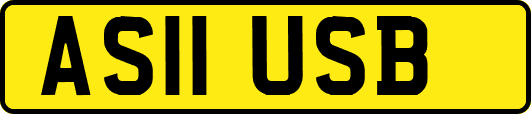 AS11USB