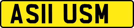 AS11USM