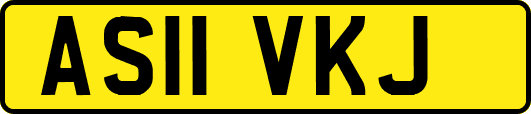 AS11VKJ