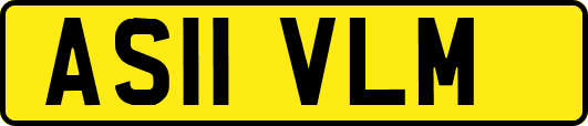 AS11VLM