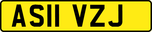 AS11VZJ