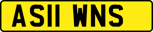 AS11WNS