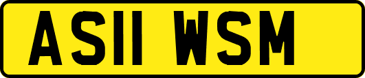 AS11WSM