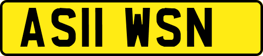 AS11WSN