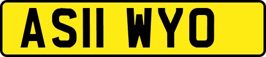 AS11WYO