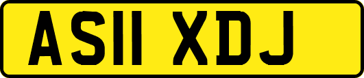 AS11XDJ