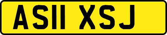 AS11XSJ