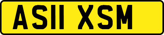 AS11XSM