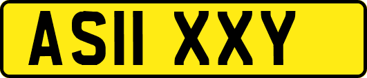 AS11XXY