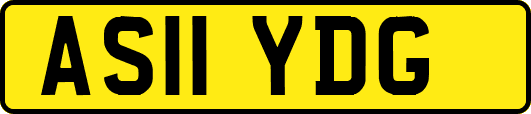 AS11YDG