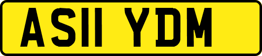 AS11YDM