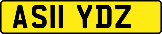 AS11YDZ
