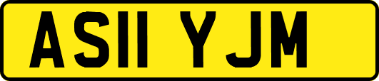 AS11YJM