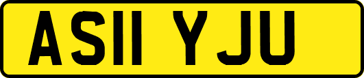AS11YJU