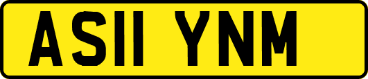 AS11YNM