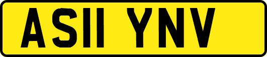 AS11YNV