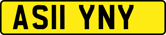 AS11YNY