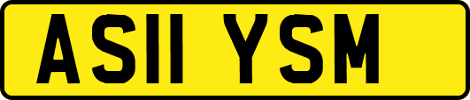 AS11YSM