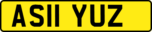 AS11YUZ