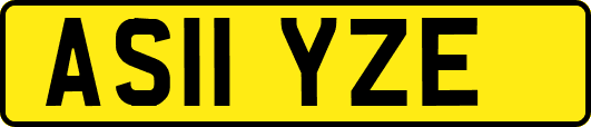AS11YZE