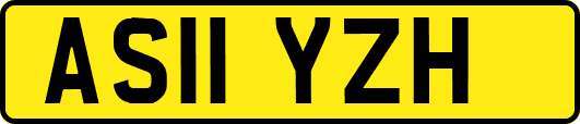AS11YZH