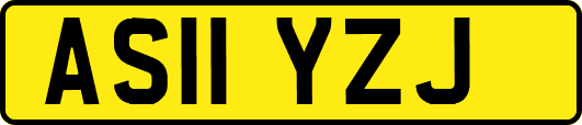 AS11YZJ