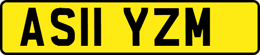 AS11YZM