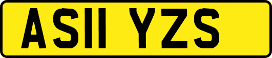 AS11YZS