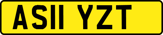 AS11YZT