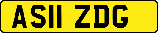 AS11ZDG