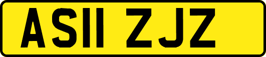 AS11ZJZ