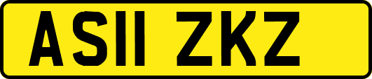 AS11ZKZ
