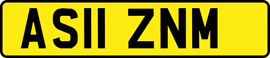 AS11ZNM