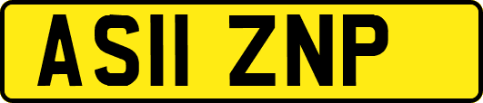 AS11ZNP