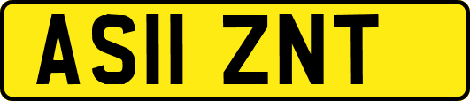 AS11ZNT