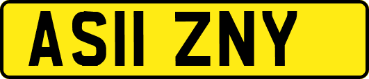 AS11ZNY