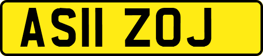 AS11ZOJ