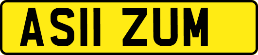 AS11ZUM