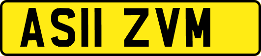 AS11ZVM