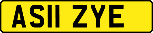 AS11ZYE