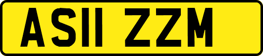 AS11ZZM