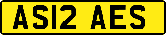 AS12AES