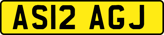 AS12AGJ