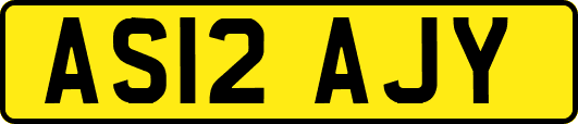 AS12AJY
